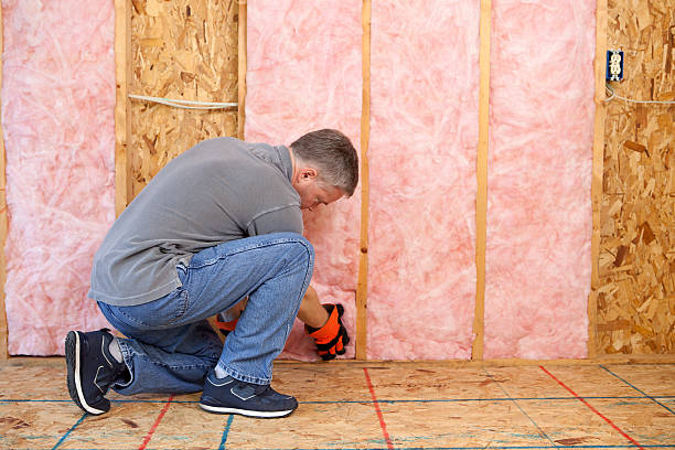 Best Eco-Friendly Insulation in Kidron, OH