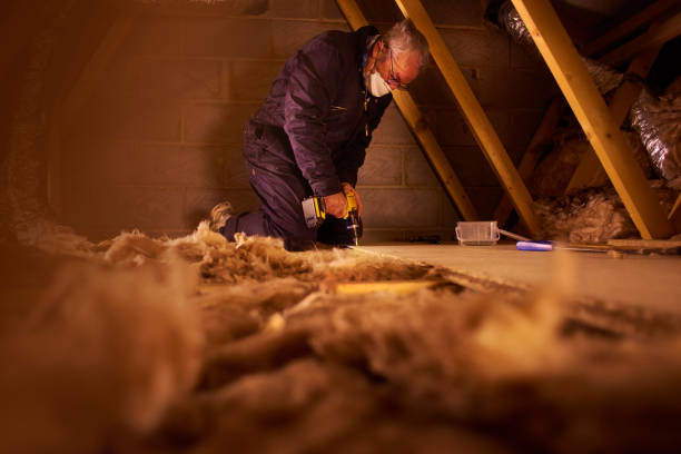 Best Geographic-Specific Insulation Services in Kidron, OH